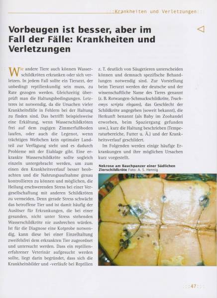 Preview: Haltung von Wasserschildkröten